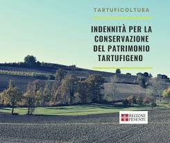 Piano per la valorizzazione del patrimonio tartufigeno regionale